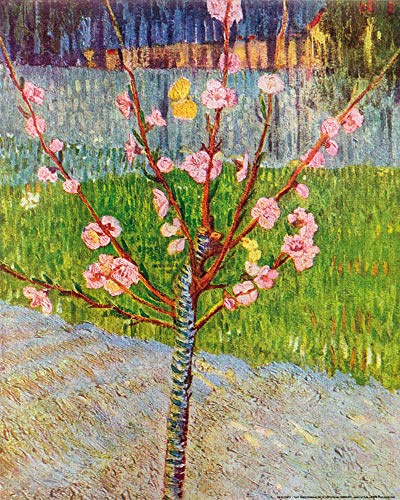 1art1 Vincent Van Gogh Poster Blühender Pfirsichbaum, 1888 Kunstdruck Bild 50x40 cm