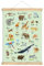 fioniony ABC POSTER 50 x 70 cm TIERE UNGERAHMT OHNE HOLZLEISTE in Grün Tierposter Alphabet Lernposter Schulanfang 1. Klasse Kinderzimmer Baby Bilder Zoo Wald Safari Kindergarten