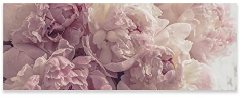 Poster Blumen Rosa Pfingstrosen - 120x45 cm Panorama Querformat - OHNE RAHMEN XXL Wandposter Kunstdruck Fotoposter Wandbild Wandbilder Wand Bild auf Poster Wohnzimmer Schlafzimmer Küche
