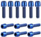 12 Pezzi Bici Stelo Bulloni, M5 x 18 mm Viti Fisse per Stelo Bici con Rondella, Bulloni per Manubrio Della Bicicletta, Vite da Bicicletta per Mountain Bike Bici da Strada (Blu)