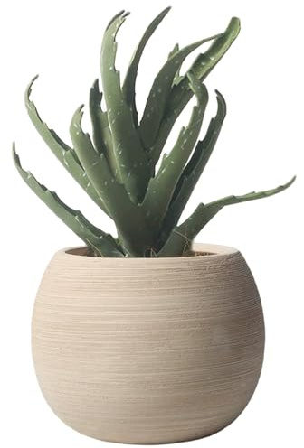 Uanqfegy Vasi per piante in ceramica, design minimalista con ampia apertura - Fioriera traspirante che assorbe l'acqua per interni ed esterni
