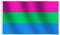 JZK 90 cm x 150 cm groß polysexuell Flagge für Wand, PolySexual Pride Flagge Flag, polysexuell Stolz Flagge für draußen, Karneval, Parade, groß LGBTQ Flagge LGBT, Gay Pride Festival Accessoire