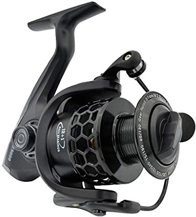 BGSFF Angelrolle Angelrollen Spinnrolle 12bb Salzwasser Leichte Größe 1000-7000 Angelradspule Ultra Smooth (Größe: 1000er Serie)