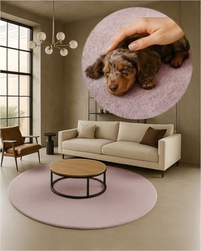 TEXMAXX Weicher Kurzflor Teppich Wohnzimmer mit rutschhemmender Rückseite (160 x 160 cm Rund) - Modern für Flur, Esszimmer und als Schlafzimmer Teppich in Pastel-Rosa - Waschbar bis 30 Grad