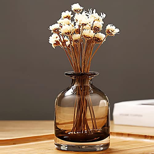 XIUWOUG Flaschenvasen Bernstein Knospe Vase Dekorative Glasvasen für Wohnkultur, Bauernhausdekor, Tischdekoration,A