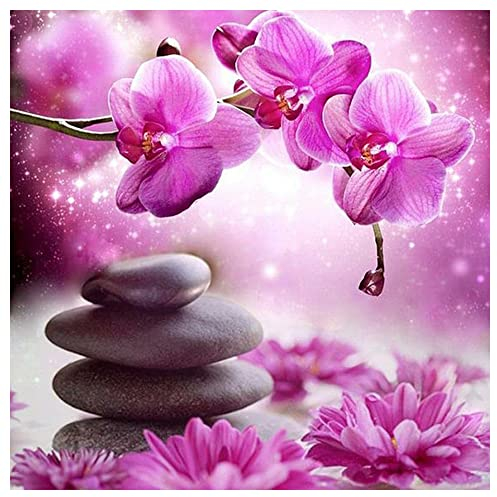 DCIDBEI 30 x 30 cm Rosa Phalaenopsis und Steine Diamond Painting Rund, 5D Diamant Malerei Set für Kinder Blumen Zen Freizeit Kreative DIY Diamond Art für Erwachsene Party Home Decor