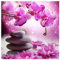DCIDBEI 30x30CM Phalaenopsis Rose et Pierres Diamond Painting Rond,5D Diamant Peinture Set pour Enfants Fleurs Zen loisirs creatifs DIY Diamond Art pour Adulte Fête pour Accueil Décor