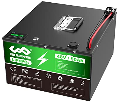 40AH 48V Lithium ion Battery Emergency Power Backup Rechargeable Lithium Iron Phosphate with Deep Cycles and BMS Protection, Perfect for Ebike, Car or other motor