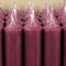 Bütic GmbH Stabkerzen durchgefärbt 100mm x Ø 22mm, Kerzen hochgereinigt, Brenndauer 4h, geruchsneutral, rußarm mit rückstandsfreiem Abbrand, Farbe:Aubergine, Set mit:16 Stück