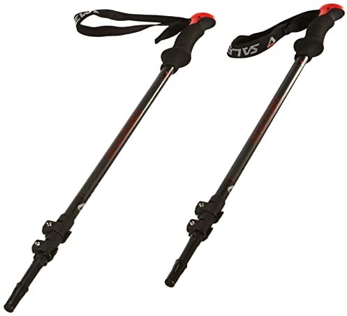 Salewa Carbonium Tour - Trekkingstöcke aus Carbon/Alu, UNI
