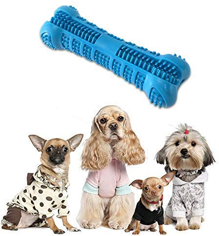 Hamkaw Hundezahnbürste, ungiftig, bissfest, Naturkautschuk, Kauspielzeug, Knochen, Zahnpflege, effektive Zahnreinigung für Hunde, Welpen, Haustiere, Mundpflege, Blau