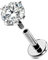 OUFER Body Piercing Titan Helix Ohrring Stud Piercing Schmuck intern Labret Monroe Lippenring Tragus 6/8/10/12 mm 16G Conch Piercing Bars