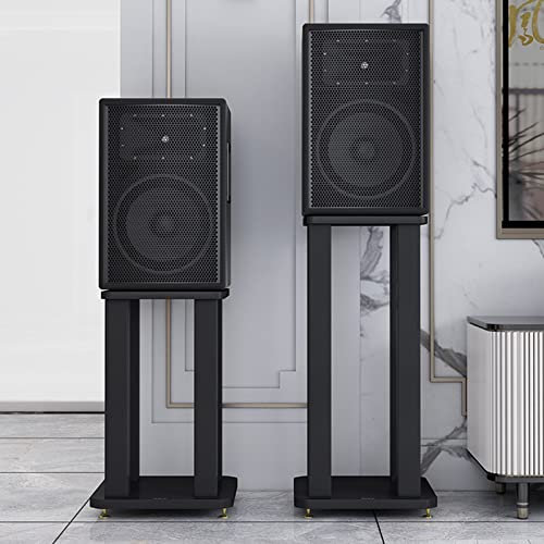 MIQXUAN Pieds d'Enceintes Supports d'enceintes d'étagère, Supports d'enceintes à Son Surround pour Enceintes Satellites et d'étagères, avec Pointes réglables, supporte 132 lb/60 kg (Taille : 80 cm)