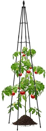 lisutupode Traliccio per piante in vaso, filo di supporto per piante rampicanti | Gabbie per fiori supporta rampicanti per verdure in vaso, edera, pianta d'appartamento, giardino, prato