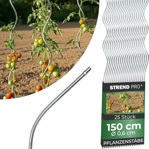 STREND PRO Tomatenstäbe 150 cm - 25 STK. | Spiralstab Ø 6 mm Verzinkter Stahl | Pflanzstab, Tomatenstütze, Rankhilfe, Stangen für Tomaten | Rankstab Metall | Spiral Bohnenstange Pflanzenstütze groß