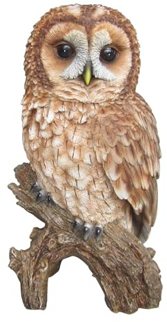 Vivid Arts Tawny Owl la Vida Real Adorno