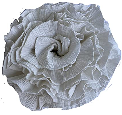 5 Rollen DEKO Krepppapier Floristenkrepp - Nicht ausblutend, Hohe Lichtechtheit 10 cm breit, 2,5 meter - KREPPBÄNDER antik weiss fertig zugeschnitten