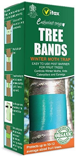 Vitax Tree Band Traps - PACK OF 2 - 1.75m long tapes - Organic Tree Band Traps - Winter Moth Trap - Tree Traps