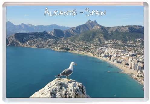 Alicante - Spain (Seagull) - 96 x 76mm Jumbo Fridge Magnet