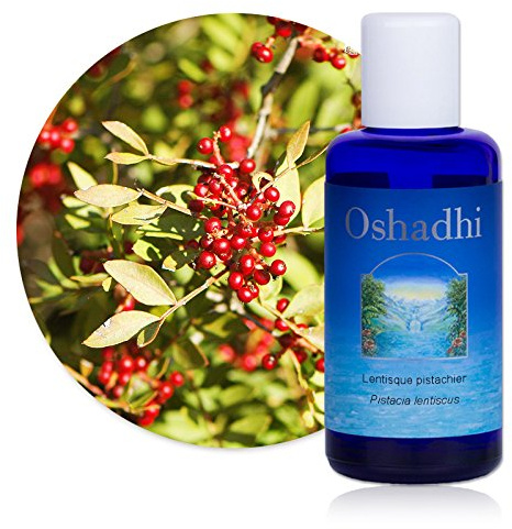 Hydrolat (Eau florale) : Lentisque pistachier BIO - Pistacia lentiscus - 500 ml