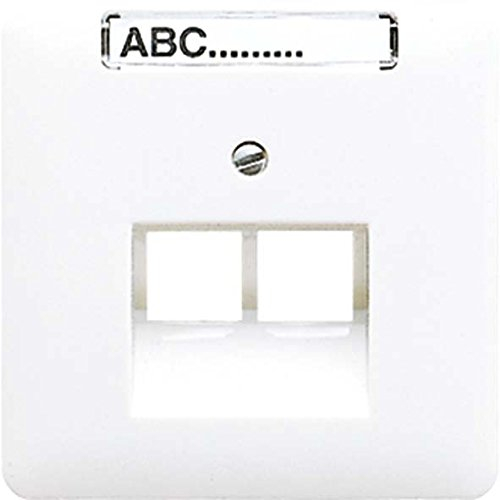 Jung CD569-2NAUAGR Abdeckung für IAE/UAE-Anschlussdose