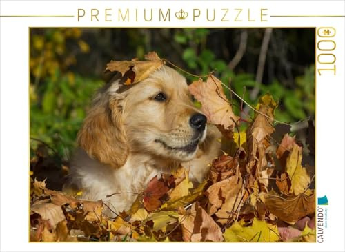 CALVENDO Puzzle Golden Retriever | 1000 Teile Lege-Größe 64 x 48 cm Foto-Puzzle für glückliche Stunden