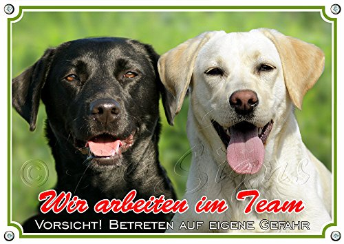 Hundeschild - Labrador Retriever -Collage - Exklusives Metallschild in Fotoqualität, DIN A4