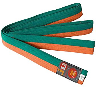 Ju-Sports Budogürtel - orange/grün, Baumwolle I Kampfsport Gürtel Für Budo-Sportarten, Judo, Karate uvm. I Ca. 4 cm breiter Martial Arts Gürtel I 280 cm