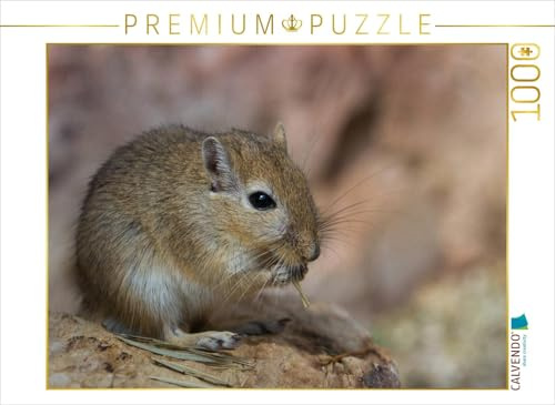 CALVENDO Puzzle Zur Abwechslung mal Heu | 1000 Teile Lege-Größe 64 x 48 cm Foto-Puzzle für glückliche Stunden