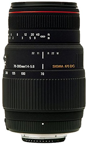 Sigma Objectif Macro 70-300 mm F4-5,6 DG APO - Monture Canon