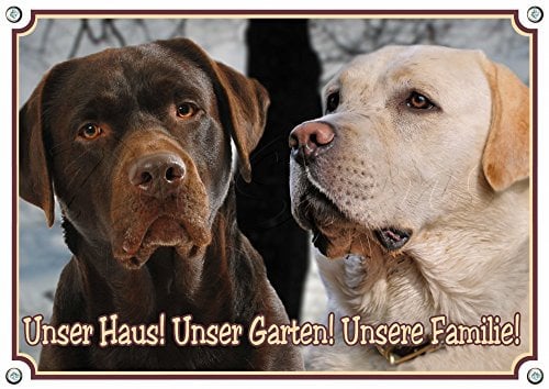 Hundeschild mit blondem und braunem Labrador Retriever - TOP Metallschild als Collage, DIN A3