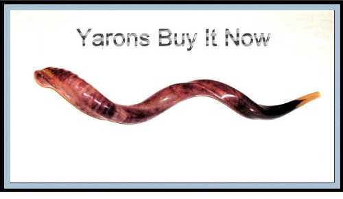 New Huge 40 Yemenite Shofar Kudu Horn Kosher Music Trumpet