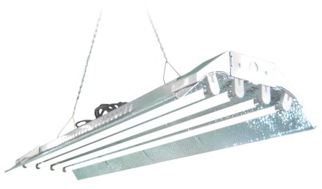 DuroLux T5 Grow Light (4Ft 4Lamps) Dl844S Ho Fluorescent Hydroponic Fixture Bloom Veg Daisy Chain with Bulbs