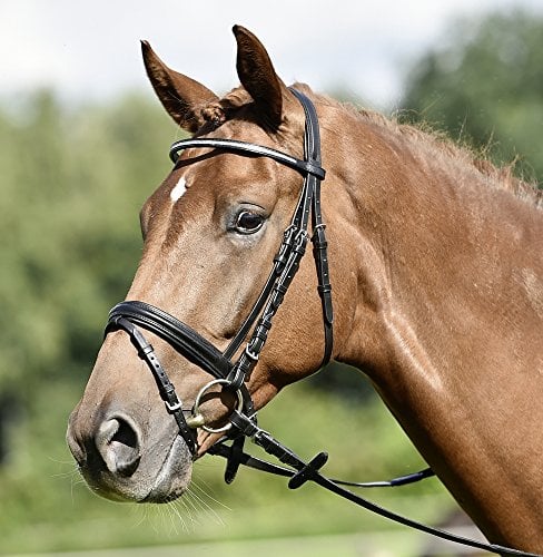 BUSSE solibel Trense SINGLE-SOFT, schwarz/Kristall-silber, Warmblut