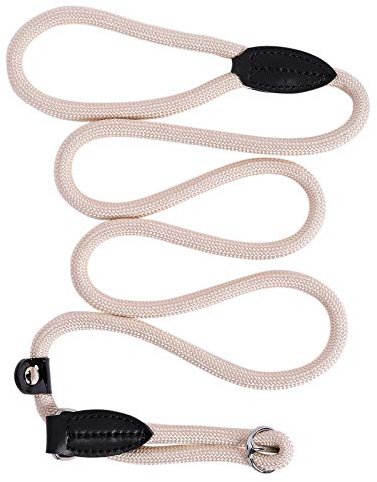 lionto Guinzaglio Retriever Guinzaglio per Cani Guinzaglio Formazione Cani, Lunghezza 170 cm Beige