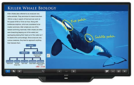 Sharp PN-80TC3 Touchscreen-Monitor 2,03 m (80 Zoll), 1920 x 1080 Pixel, Schwarz, Kapazität – Touchscreen-Monitor (2,03 m, 4 ms, 300 CD/m², 4000:1, 1920 x 1080 Pixel, LCD)