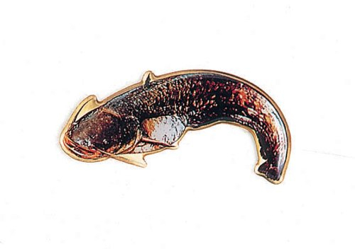 Balzer Fisch Anstecknadel Logo/Pin - Wels