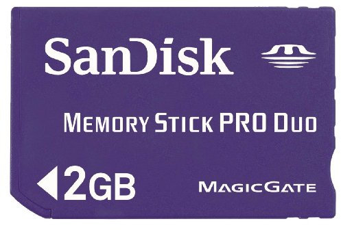 Sandisk Memory Stick PRO Duo(TM) 2GB (pack x 2) 2GB MS memory card - memory cards (MS)