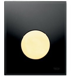 Tece Urinary Push Module Loop Plates with Black Glass and Gold Key (Plastic) Perfect