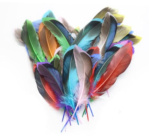 Pumuky 50 Stück Federn, Mehrfarbig, Dekoration, Federn, Hobby, DIY, Feathers für Osterdekorationen, Kostüme, Hüte, Hochzeiten und Geburtstagsfeiern. (Rot)