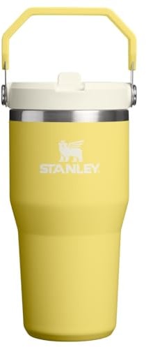STANLEY Classic IceFlow Stainless Steel Tumbler with Straw, Vacuum Insulated Water Bottle for Home, Office or Car, Reusable Cup with Straw Leakproof
