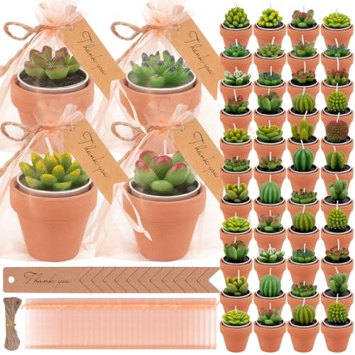 Juego de 54 velas de cactus suculentas, mini velas de té para baby showers, decoraciones de plantas de cactus con mini portavelas de arcilla de terracota para boda, cumpleaños, aniversario