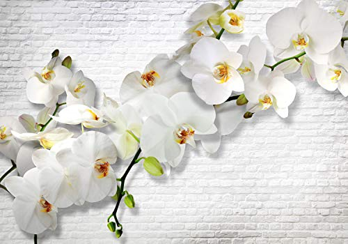 decomonkey Fototapete Blumen Steinwand Stein 350x256 cm XL Tapete Wandbild Wandbild Bild Fototapeten Tapeten Wandtapete Wandtapete Orchidee Ziegel Pflanzen