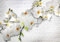 decomonkey Fototapete Blumen Steinwand Stein 350x256 cm XL Tapete Wandbild Wandbild Bild Fototapeten Tapeten Wandtapete Wandtapete Orchidee Ziegel Pflanzen