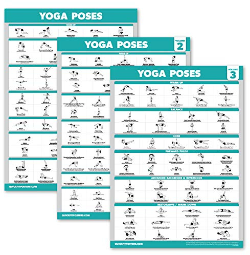 Palace Learning Yoga-Posen-Poster-Set, Yoga-Asana-Positionstabellen, Band 1, 2 und 3, laminiert, 45,7 x 61 cm, 3 Stück