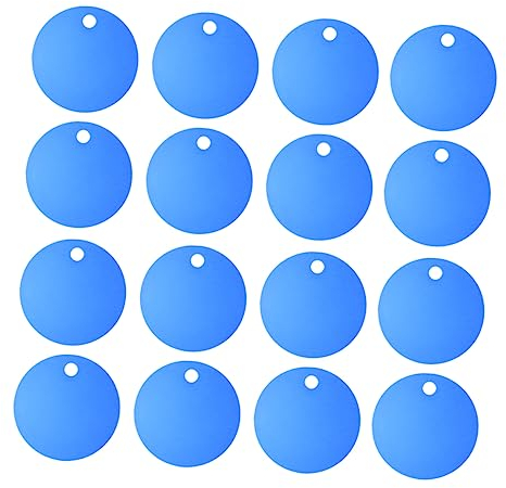 SEWOART 16st Leeres Etikett Haustiermarken Für Katzen Stanzrohlinge Aus Metall Leere Ventilschilder Bettelarmband Charme Kleine Runde Haustiermarke Stempeln Metallisches Wort Mit Löchern