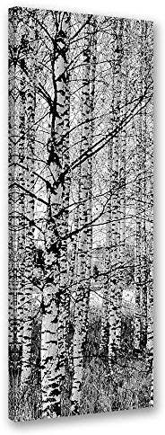 Feeby Bild auf Leinwand Birken Kunstdruck modern Natur Weiß 30x90 cm
