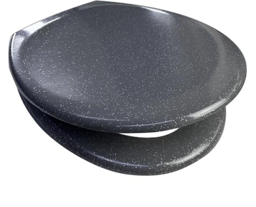 Euroshowers Rainbow Soft Close Toilet Seat (Grey with Silver Glitter)