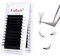 Fadlash Easy Fan Lashes D Curl 0.05 11-19mm Mixed Length Russian Lashes Natural Look Self Fanning Eye Lashes Automatic Blooming Russian Eyelashes Extensions(0.05-D-1119)