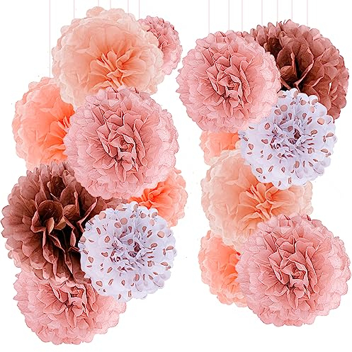 Romon Papier de Soie Rose Gold, 20 Pièces Fleur Pompon, Boule Papier Decoration pour Fête De Bébé, Mariage, Anniversaire, Noël